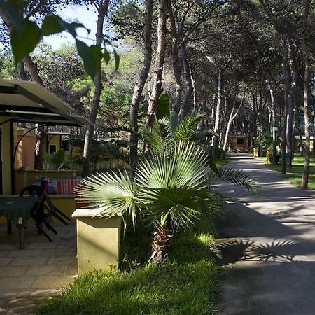فندق غالّيبوليفي  Camping La Vecchia Torre المظهر الخارجي الصورة