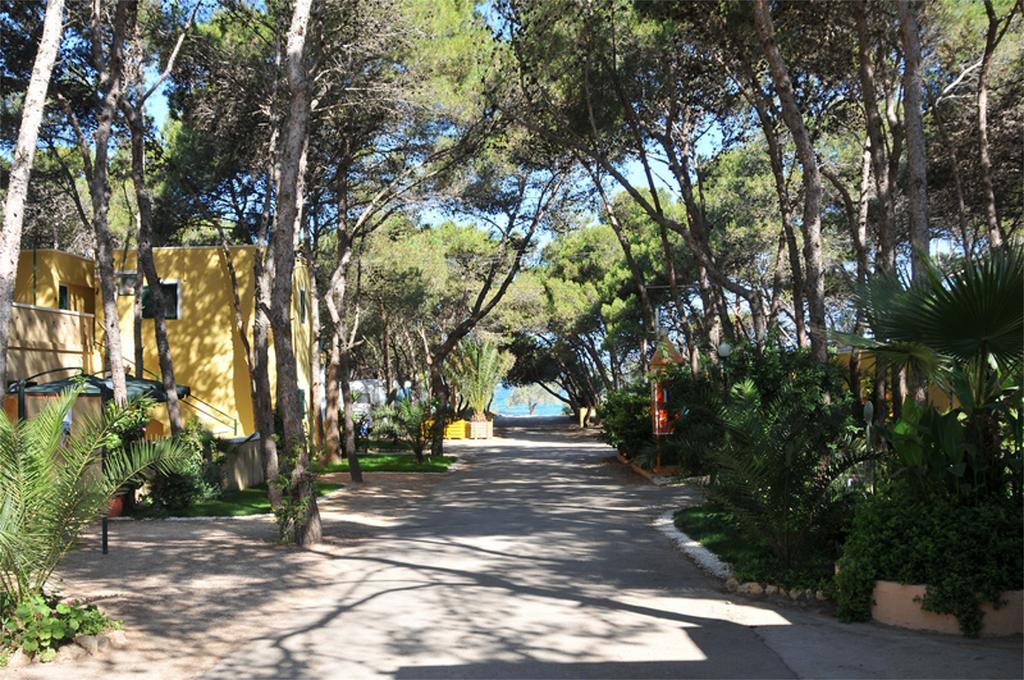 فندق غالّيبوليفي  Camping La Vecchia Torre المظهر الخارجي الصورة